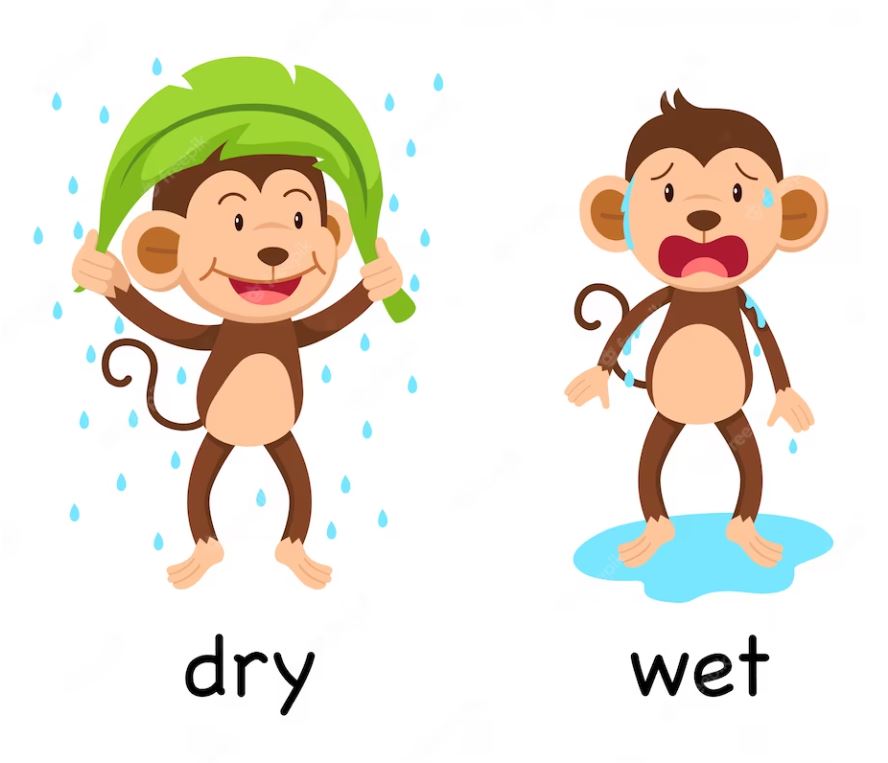 Những từ vựng được diễn tả kiểu hài hước sẽ dễ ghi nhớ hơn