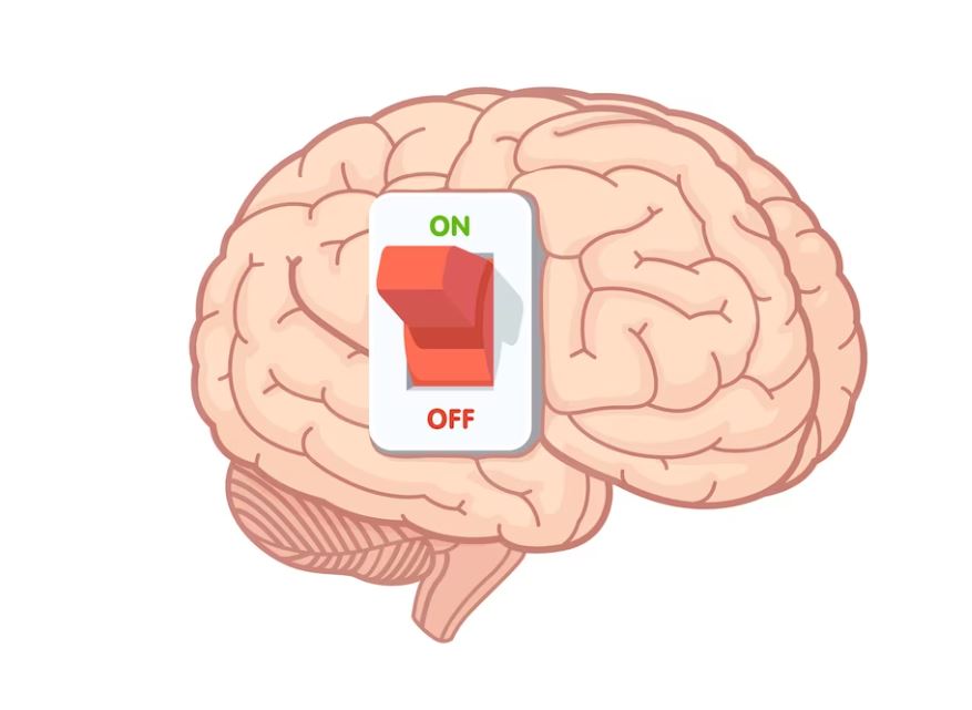 Phương pháp Brain Booster được nghiên cứu và phát minh bởi Tiến sĩ Paul Pimsleur