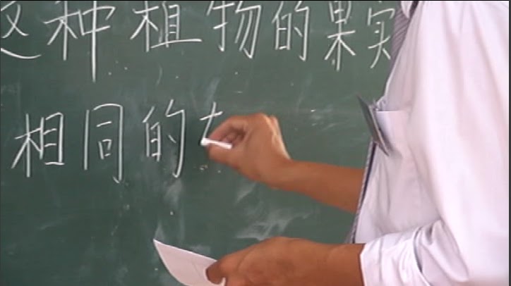 Sử dụng Giáo trình Hán ngữ chuẩn cùng sự hướng dẫn từ các Thầy, Cô sẽ giúp người học có được nền tảng tiếng Trung vững chắc.