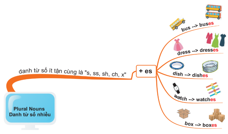 Các danh từ tận cùng bằng s, sh, ch, x, z được tạo thành số nhiều bằng cách thêm -es
