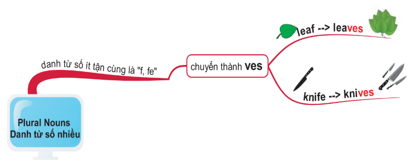 Một số danh từ tận cùng bằng “f” hoặc “fe” được tạo thành số nhiều bằng cách đổi “f” hoặc “fe” thành “-ves”
