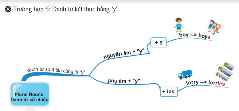 Danh từ kết thúc bằng "y"