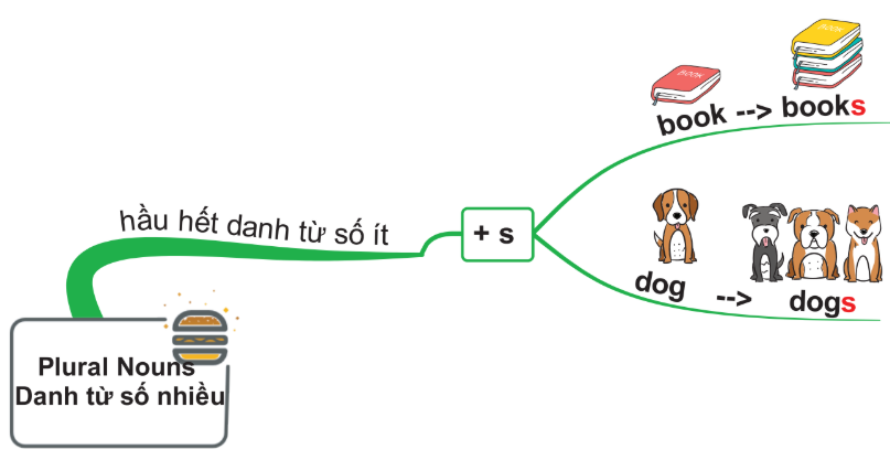 Hầu hết các danh từ số nhiều được thành lập bằng cách thêm “- s” vào danh từ số ít