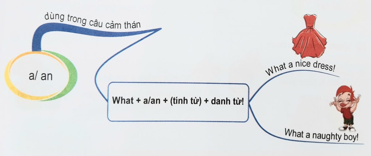 Cách dùng mạo từ a/ an