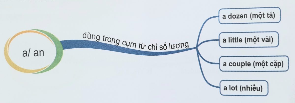 Mạo từ a/ an