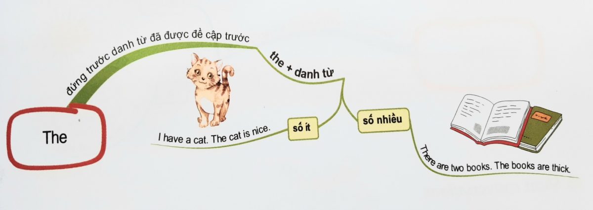 Cách dùng mạo từ "the"