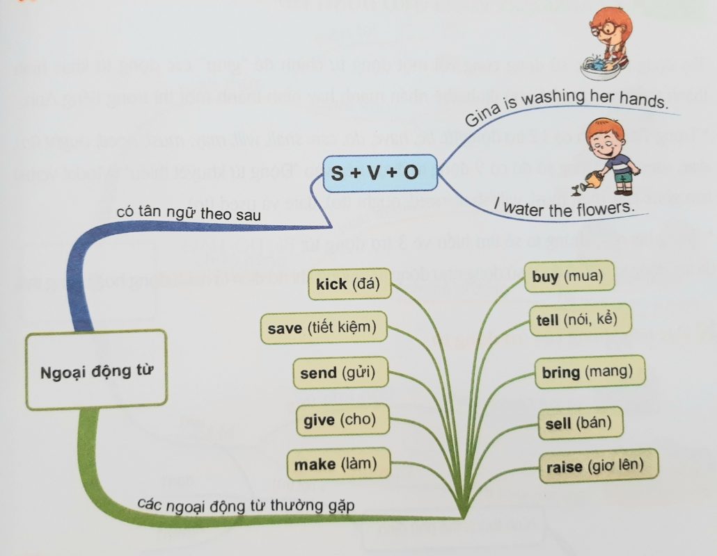 Ngoại động từ