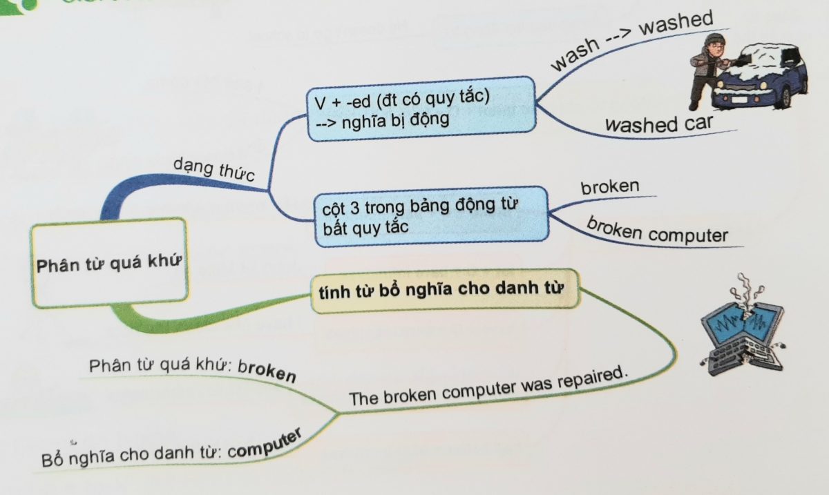 Phân từ quá khứ