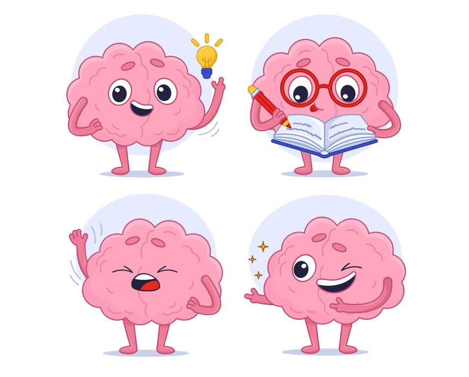 Trí nhớ có nhiều sự thật khá thú vị mà có lẽ bạn không hề biết