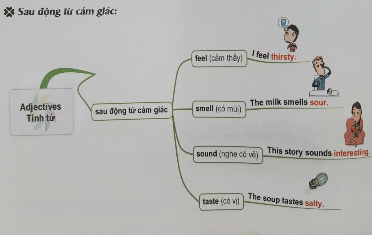Tính từ đứng sau động từ cảm giác