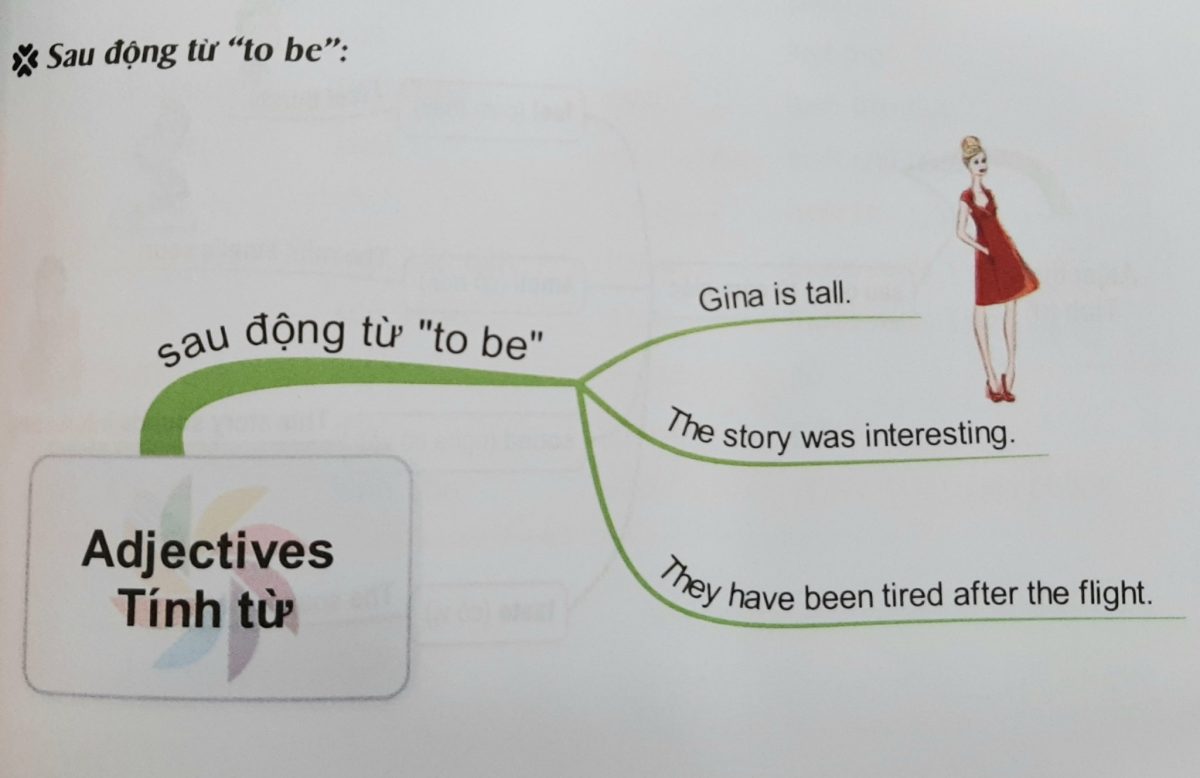 Tính từ đứng sau động từ "to be"