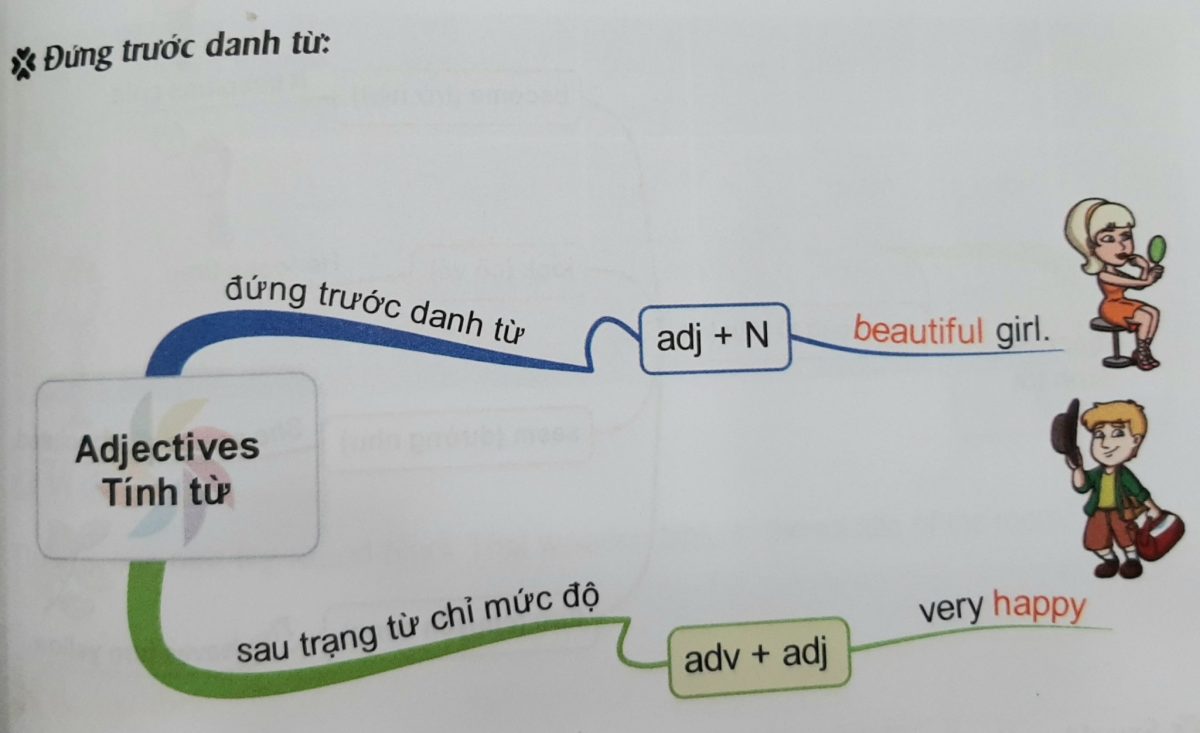 Tính từ đứng trước danh từ
