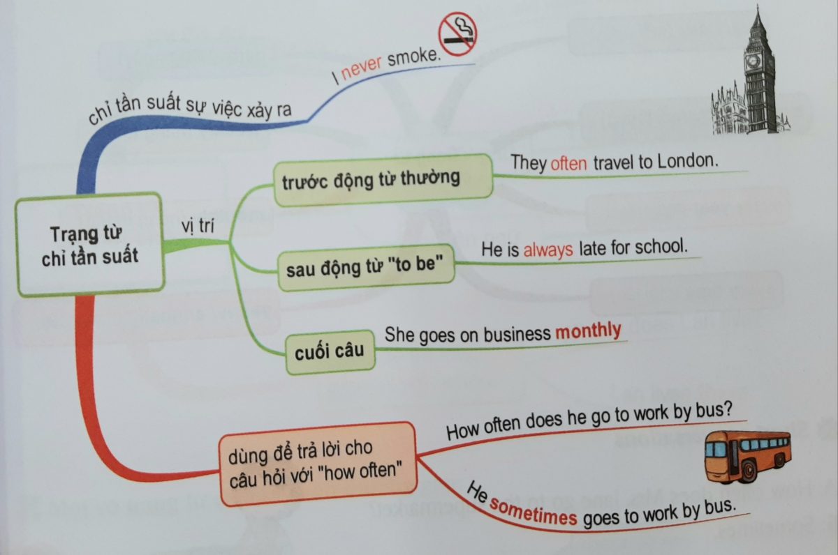 Trạng từ chỉ tần suất