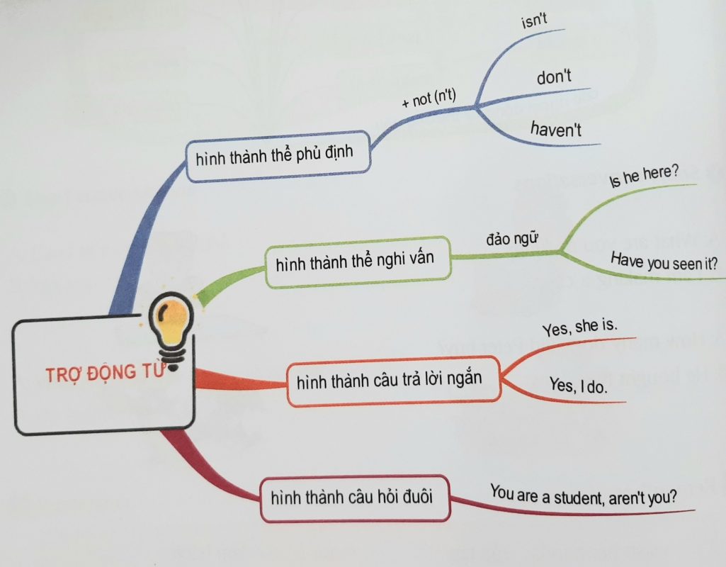 Trợ động từ
