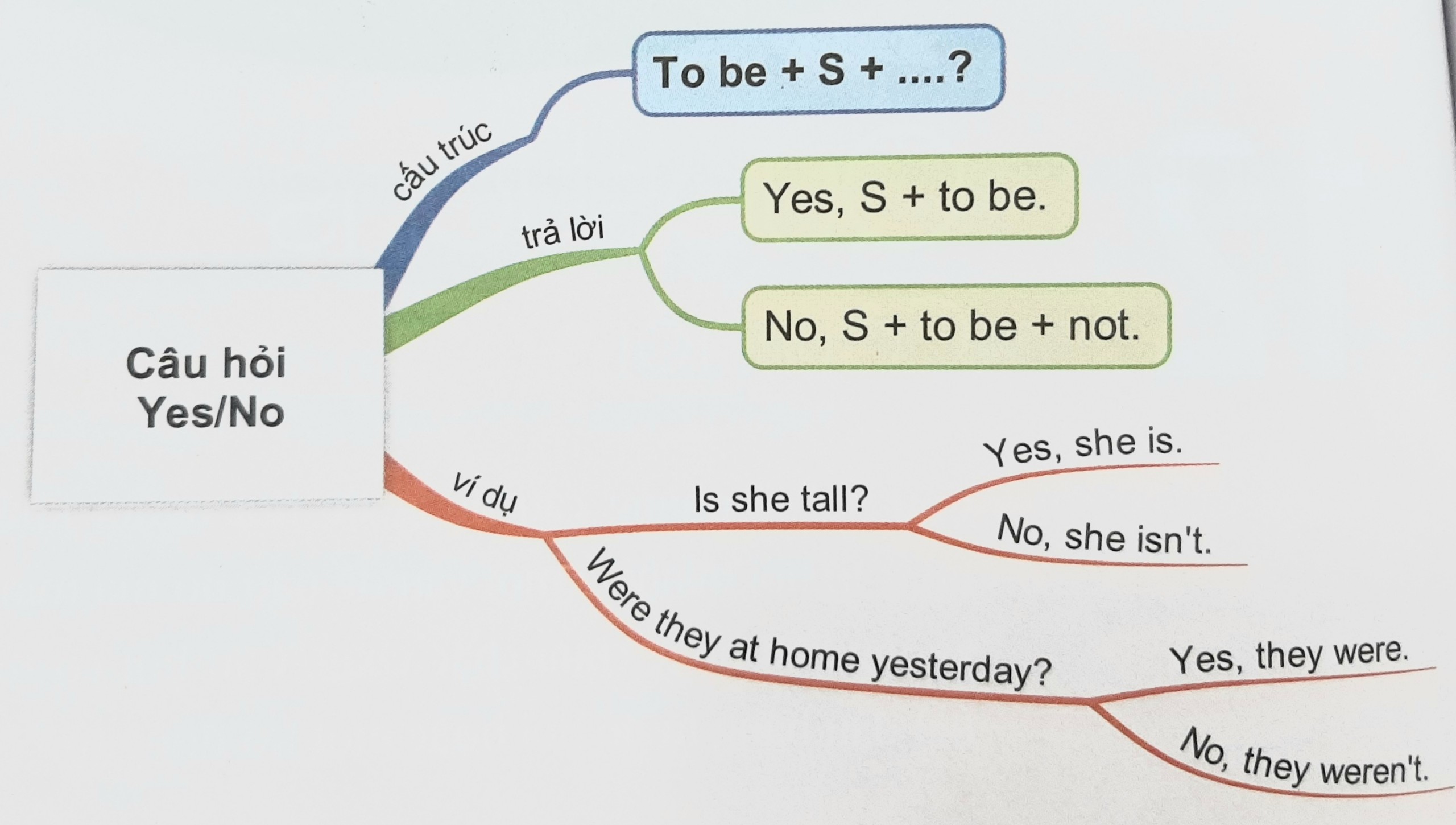 Câu hỏi Yes/ No Question