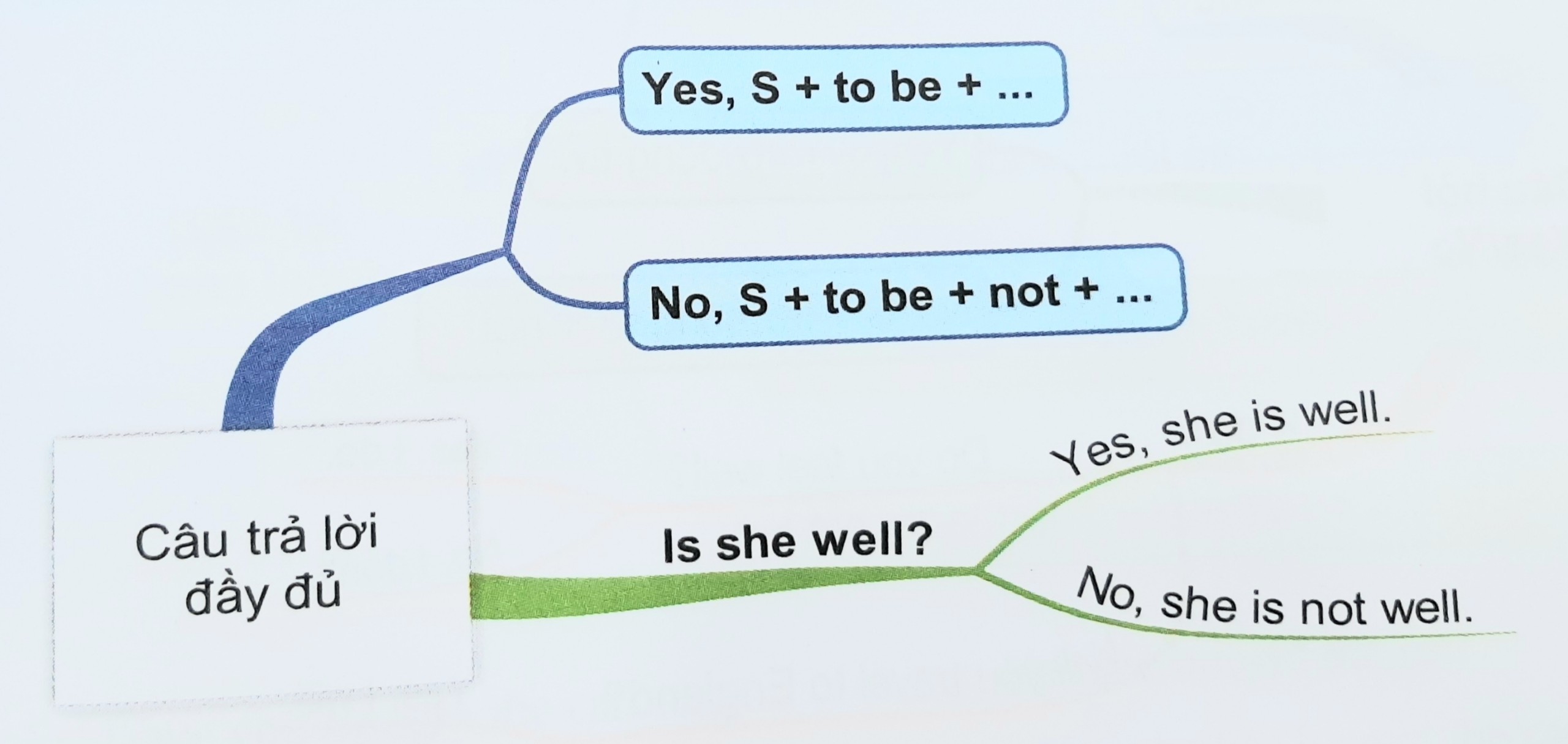 Câu trả lời đầy đủ của câu hỏi Yes/ No Question