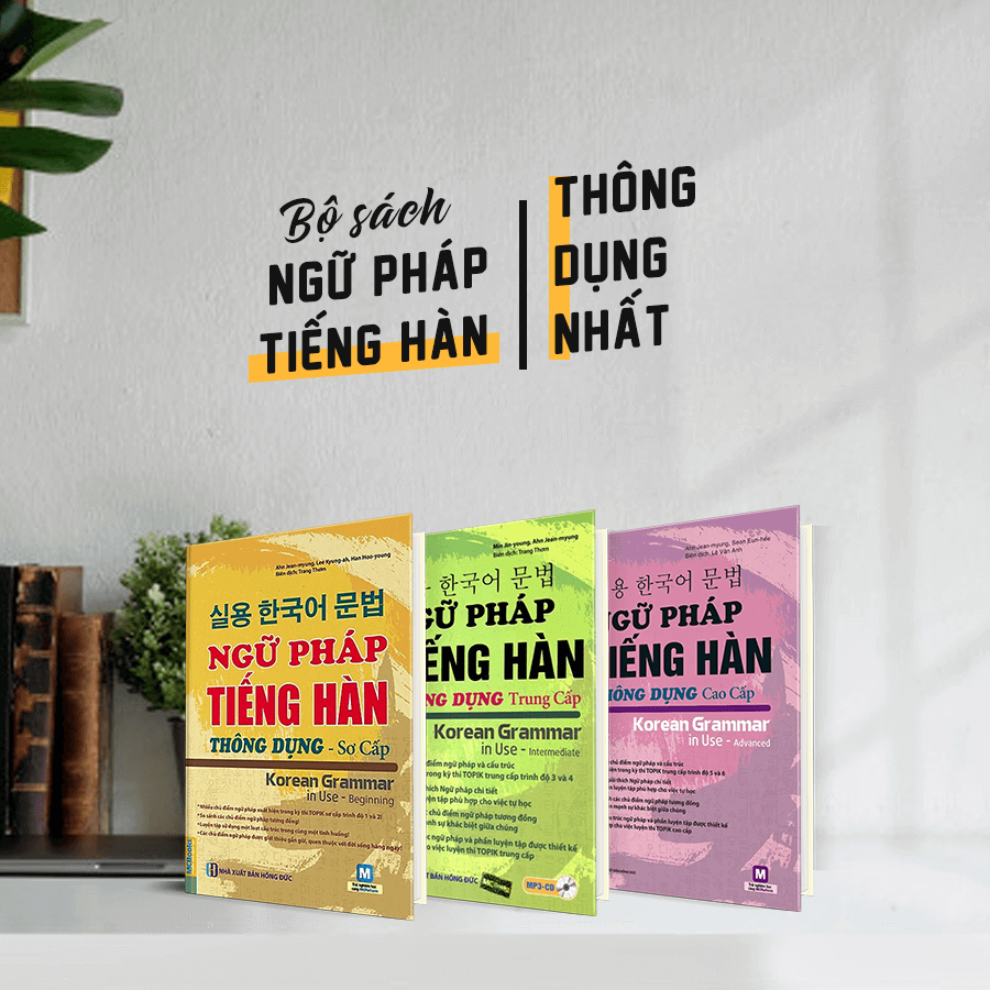 bo sach ngu phap tieng han thong dung 2
