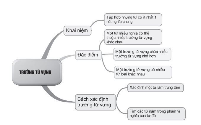 Phần sơ đồ tư duy trong sách