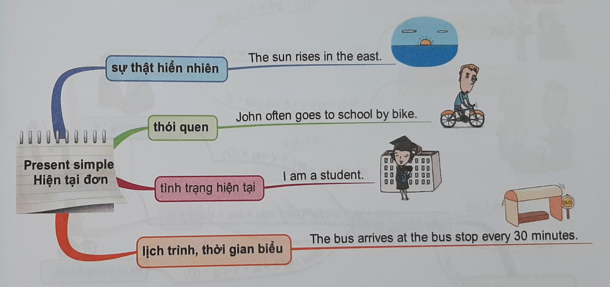 Cách dùng thì hiện tại đơn