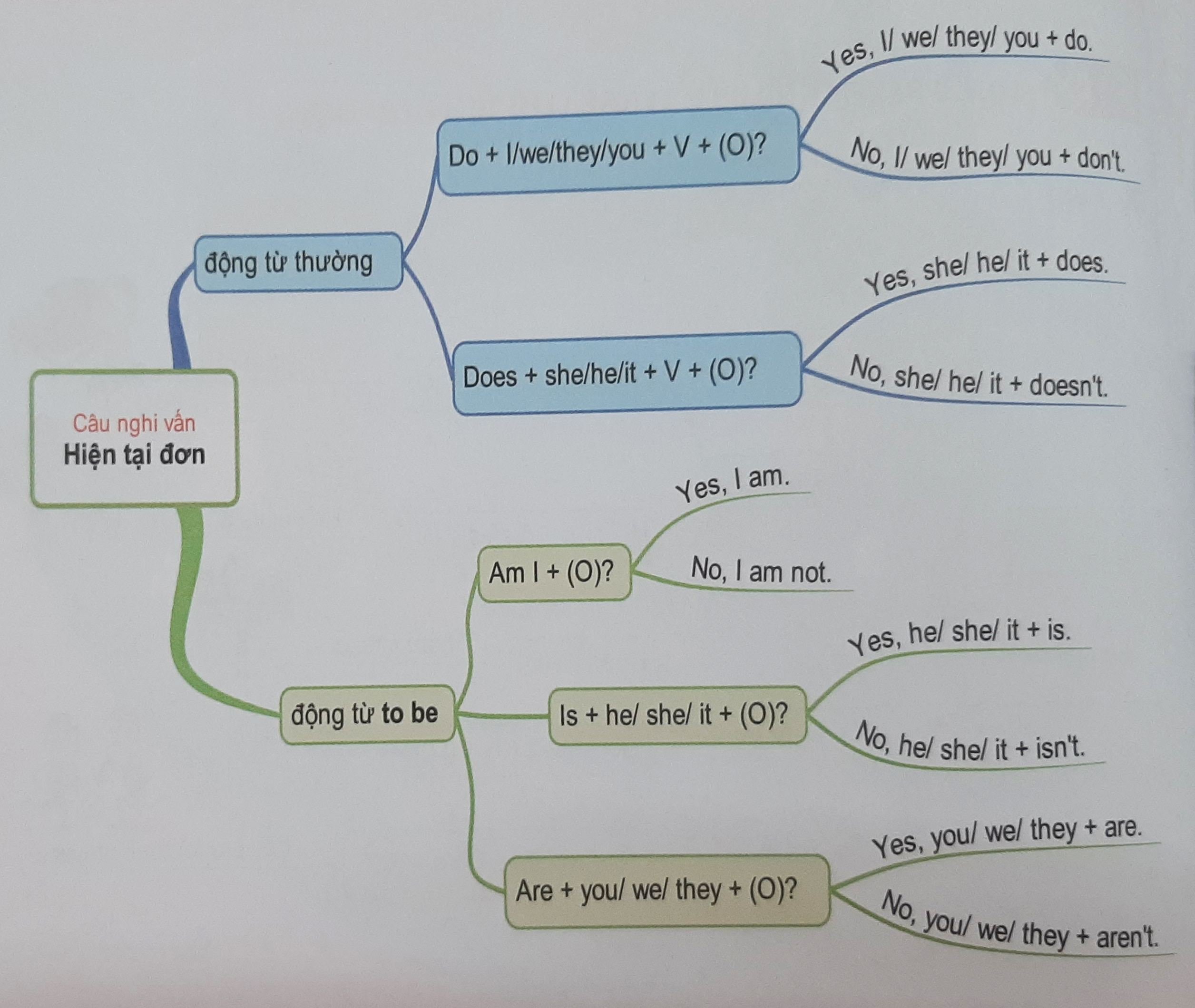 Câu nghi vấn thì hiện tại đơn