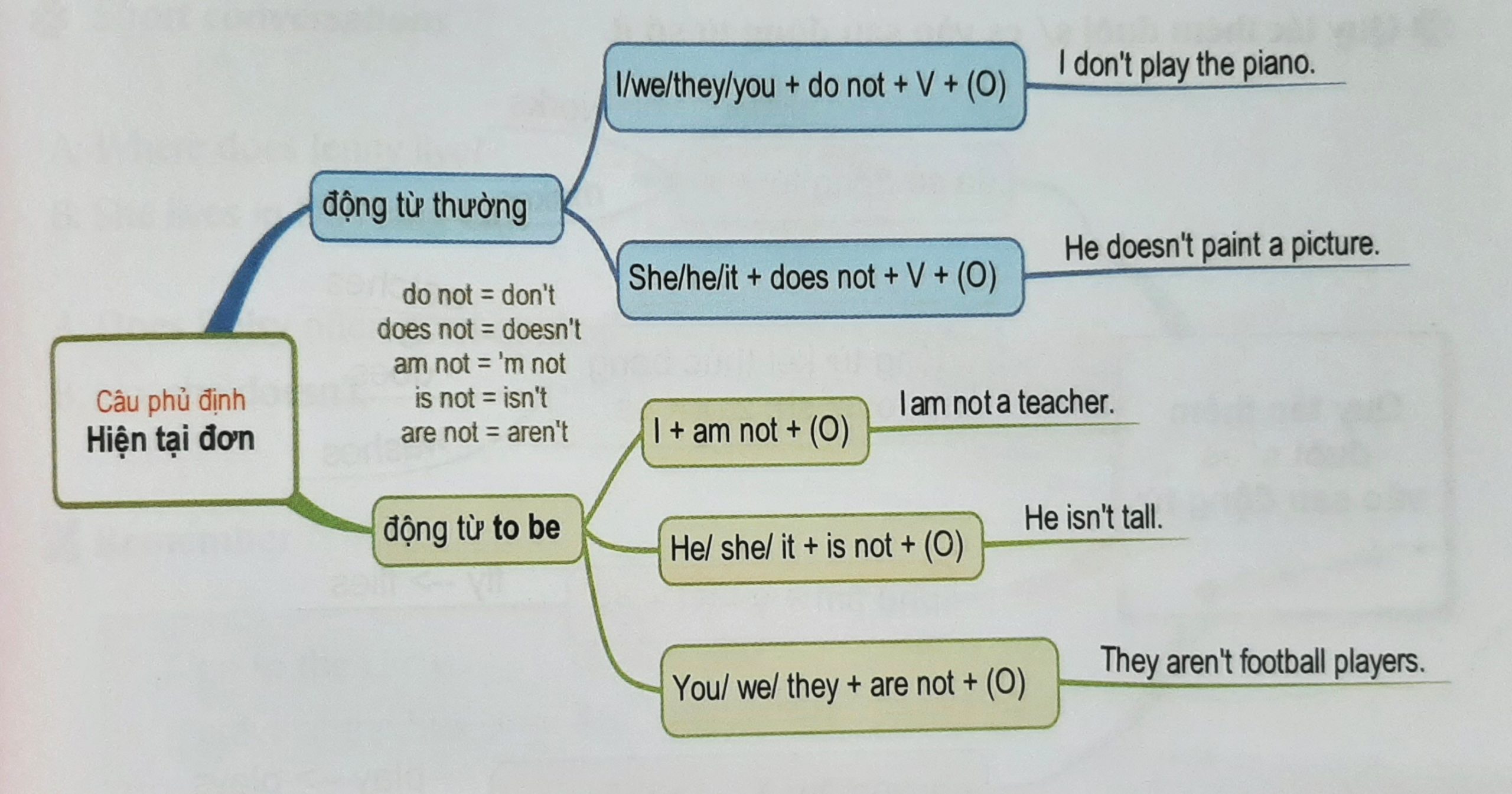 Câu phủ định thì hiện tại đơn