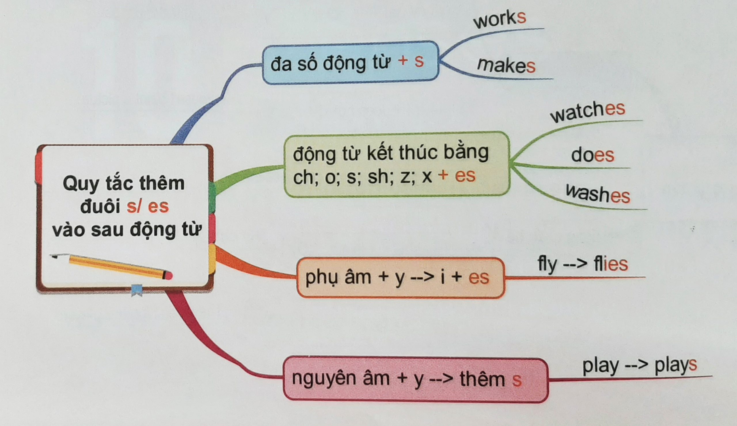Quy tắc thêm đuôi s/es vào động từ số ít