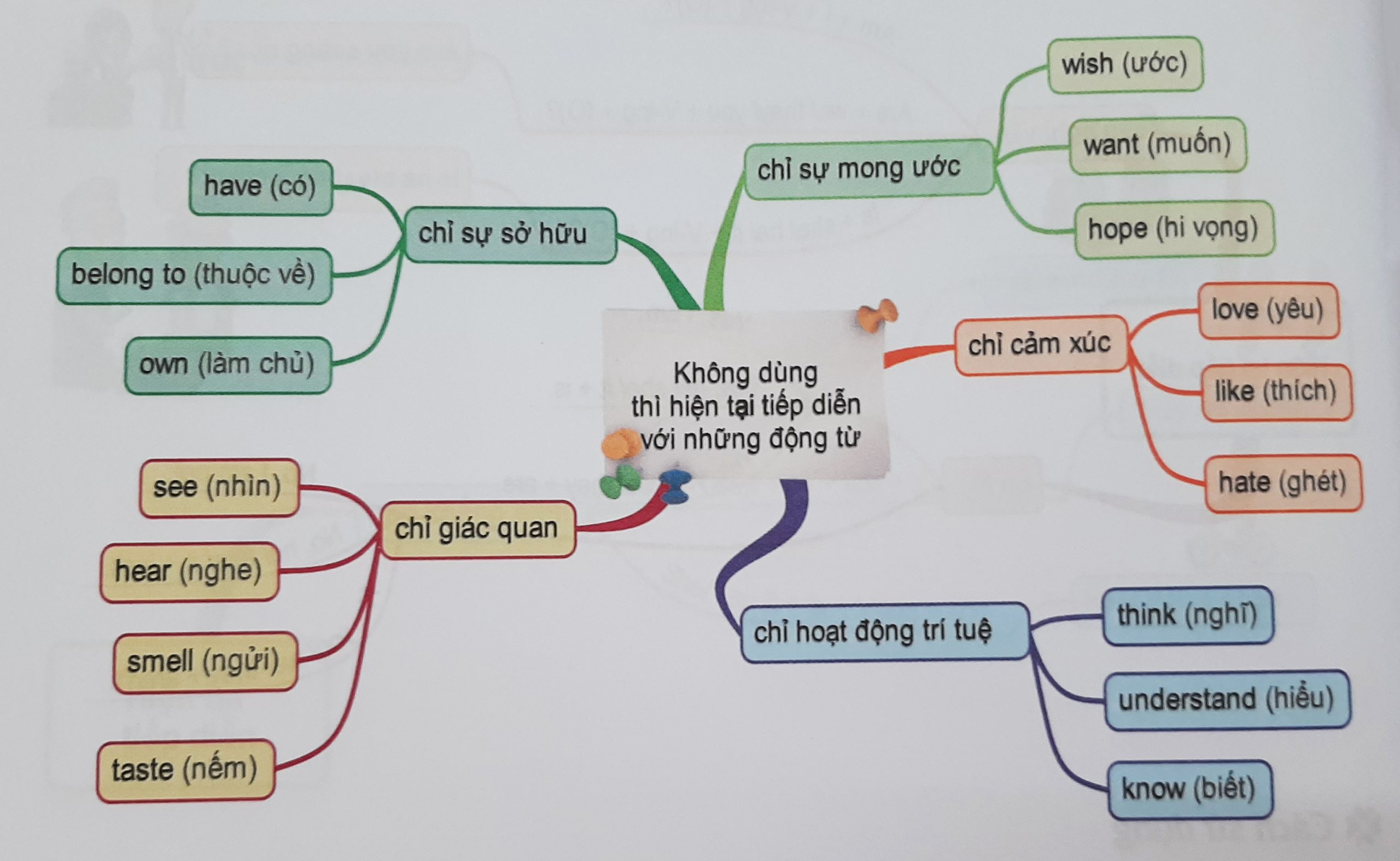 Những động từ thường không chia ở dạng tiếp diễn