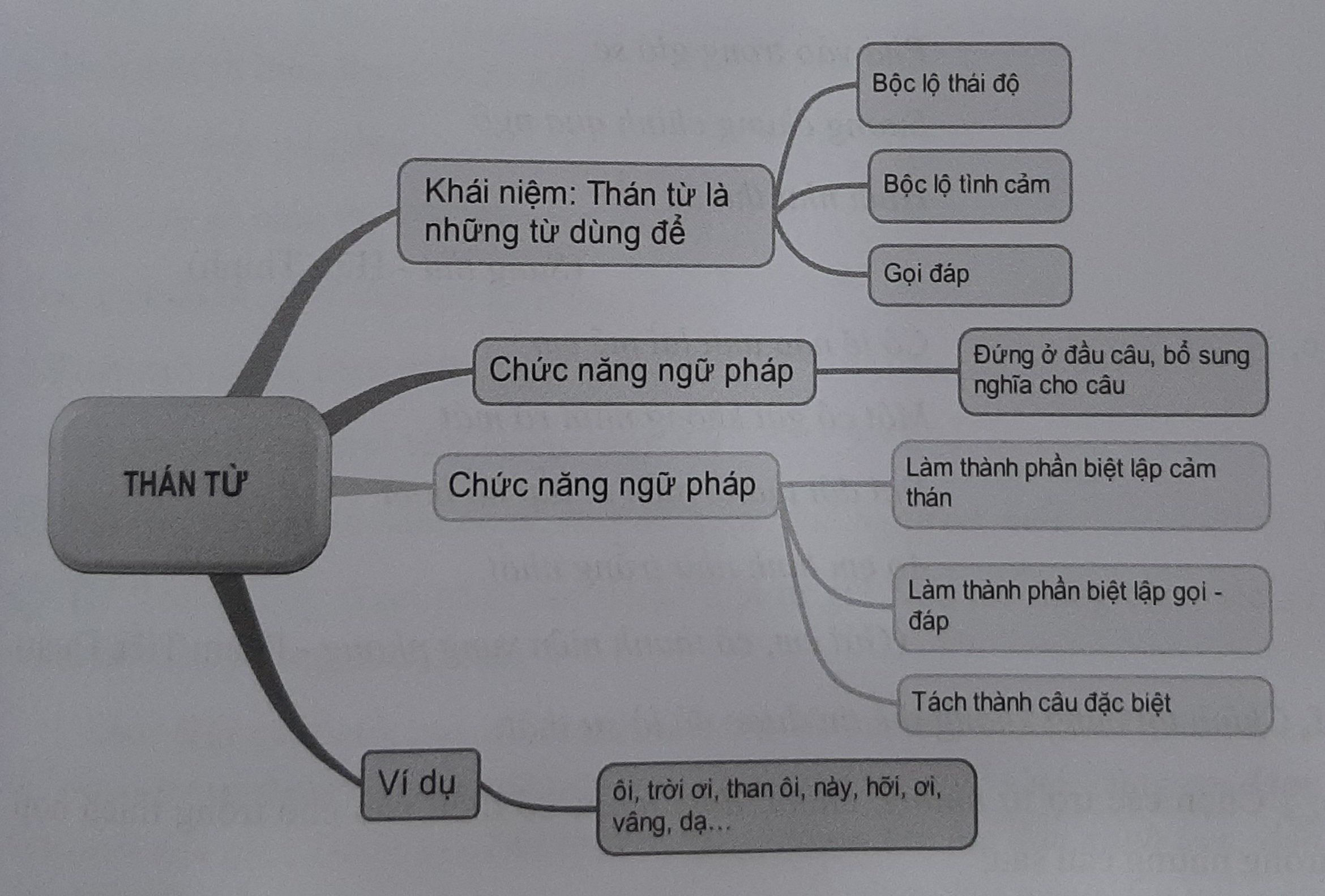 Tổng quan kiến thức về Thán từ trong Tiếng Việt