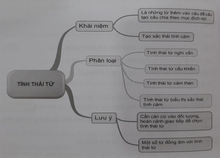 Tổng quan kiến thức về Tình thái từ trong tiếng Việt