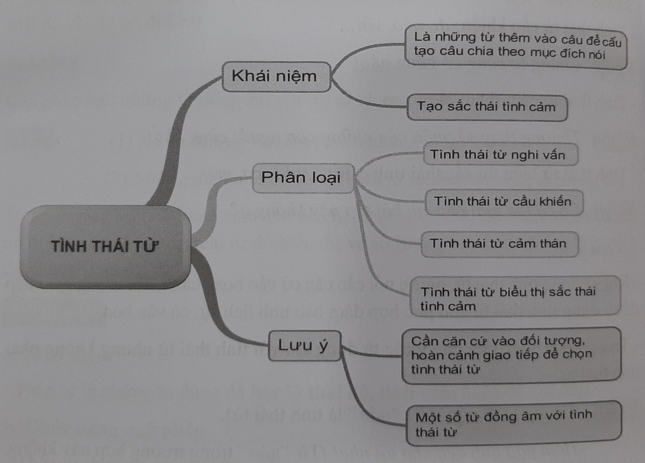 Tổng quan kiến thức về Tình thái từ trong tiếng Việt