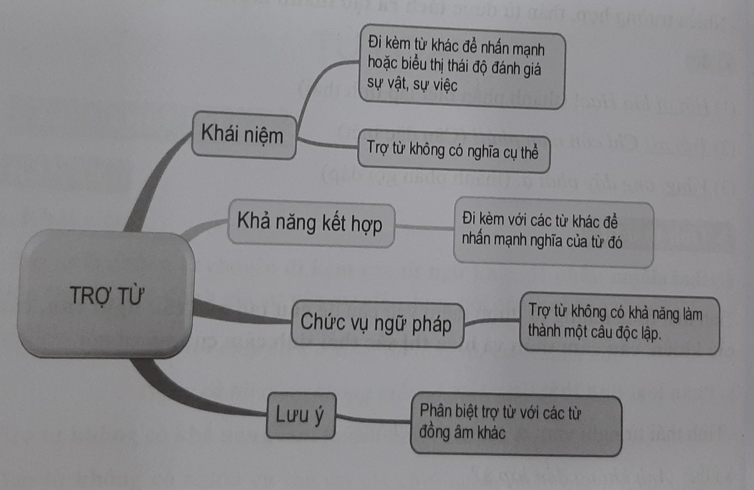 Tổng quan kiến thức về Trợ từ trong tiếng Việt