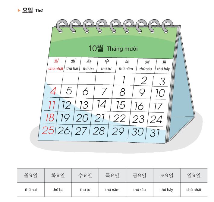 Từ vựng tiếng Hàn sơ cấp 1 bài 4 - Thứ