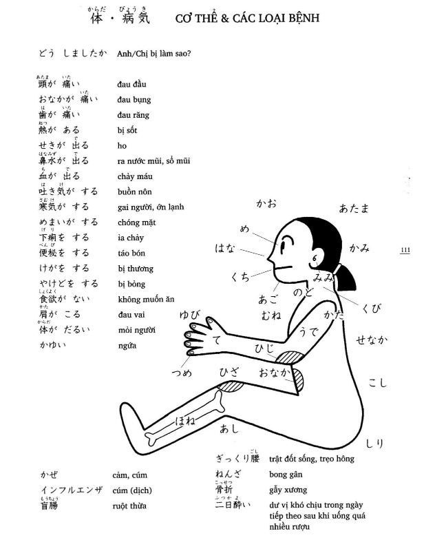 Từ vựng tiếng Nhật bài 17 và thông tin tham khảo về chủ đề Cơ thể và các loại bệnh
