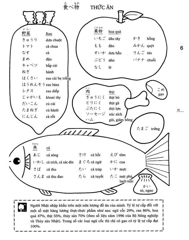 Từ vựng và thông tin tham khảo bài 6
