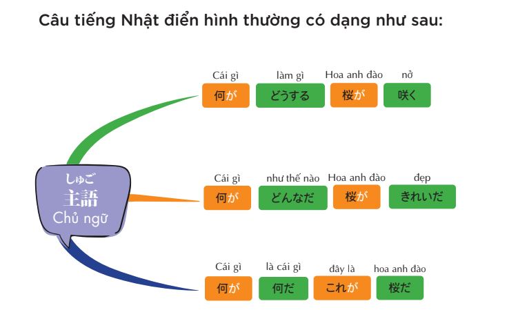 Ngữ pháp tiếng Nhật có khó không là câu hỏi mà bất cứ ai mới học tiếng Nhật cũng thắc mắc