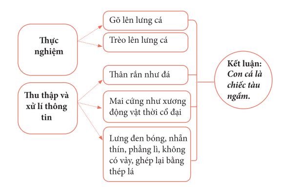 Tính logic khoa học của văn bản Cuộc chạm trán trên đại dương