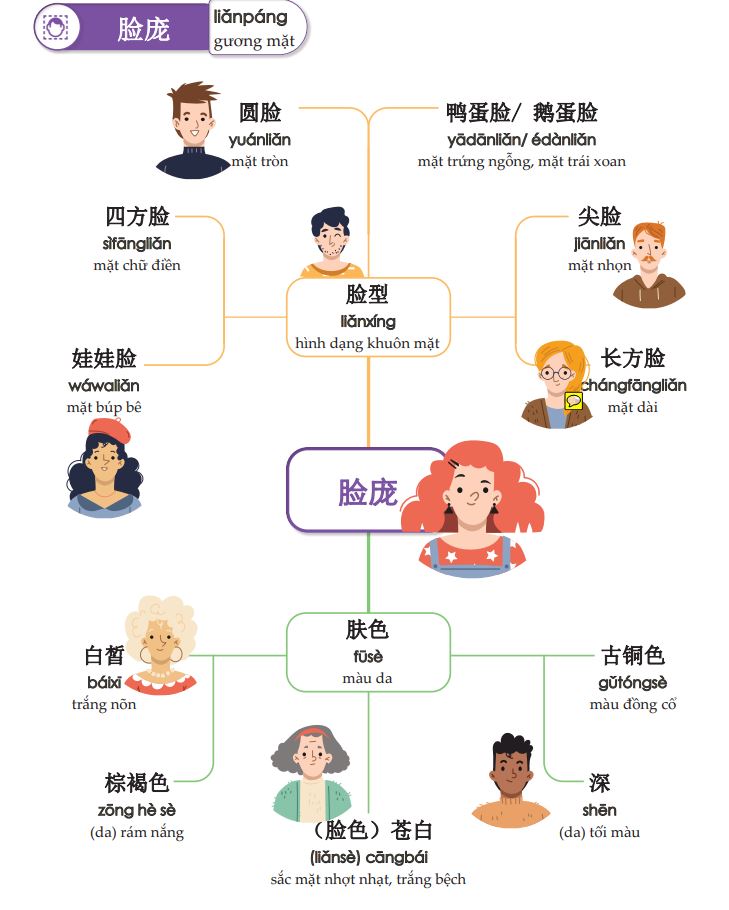 Từ vựng tiếng Trung miêu tả về ngoại hình được trình bày sinh động bằng sơ đồ tư duy trong cuốn Mindmap từ vựng tiếng Trung theo giáo trình Hán Ngữ