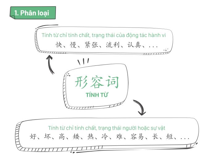 Tính từ tiếng Trung được phân thành 2 loại chính