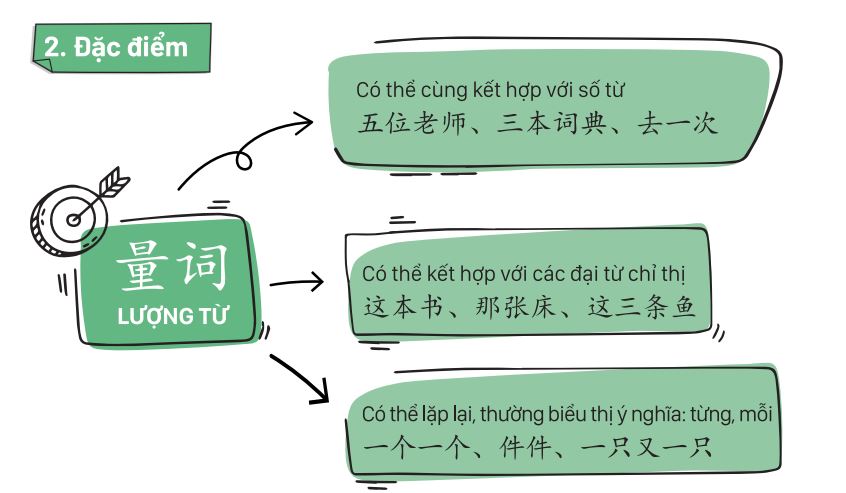 Lượng từ tiếng Trung có thể kết hợp với số từ, đại từ chỉ thị...