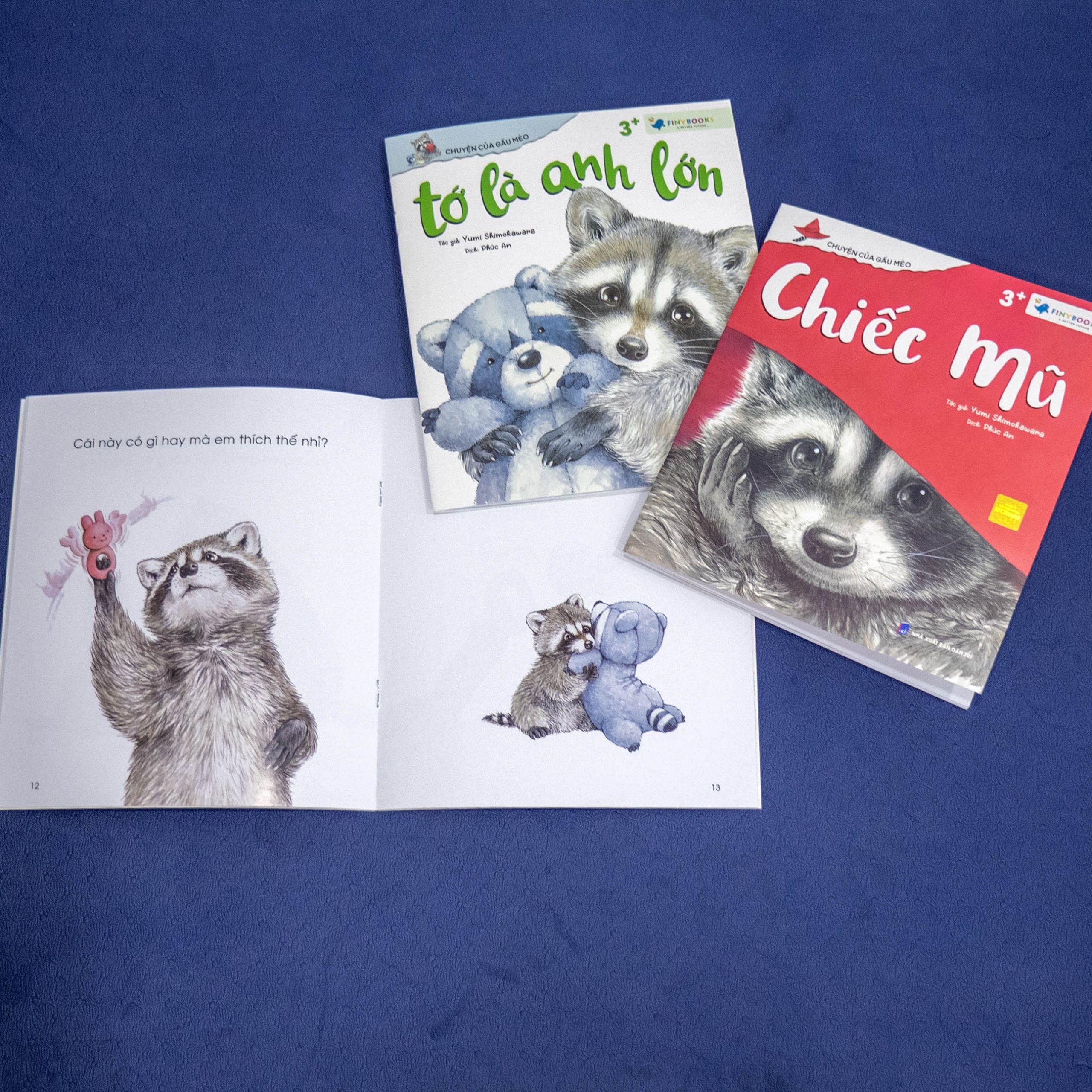 Bên trong cuốn sách Chuyện của Gấu Mèo - Em bé của gia đình