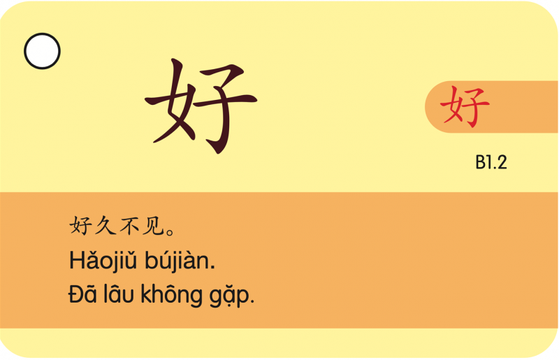 Phương Pháp Học Từ Vựng Qua Flashcard