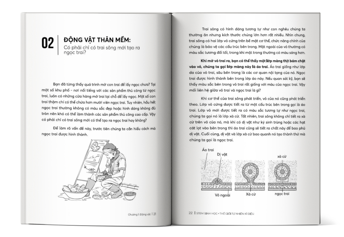 Nội dung trong sách STEM Sinh Học - Thế giới tự nhiên kì diệu